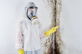 Biohazard Mold Removal in Boone, NC